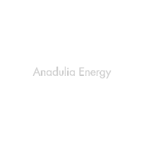 Hakkımda 1 Seo Anadulia Energy Logo 1